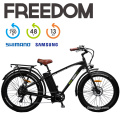 Hot Sale Merry Go Electric Bicycle for Outdoor and Sports